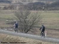Imagine atasata: Bega - 2015.01.17 - 168.jpg